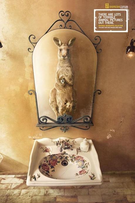 Publicité : Selfie by National Geographic 1