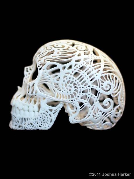 Mogwaii-3d-printed-crane-skull-by-joshua-harker