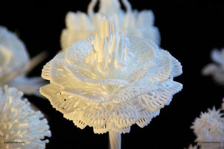 Mogwaii-3d-printed-flower-bouquet-by-joshua-harker-18 (9)