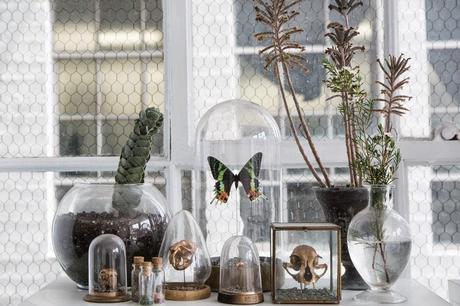 Visite d'un studio appart à L.A Visite d'un studio appart à L.A