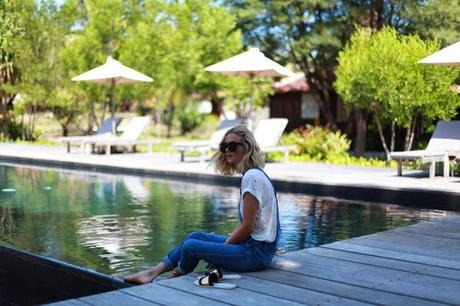 BACK TO BASICS BACK TO BASICS