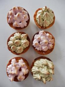 Tartelettes citron & meringues couleurs Petit Poney OLYMPUS DIGITAL CAMERA