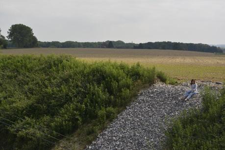 A perte de vue... _DSC0317.JPG