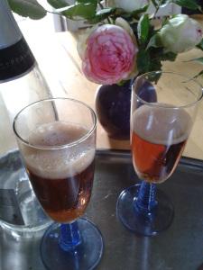 Campari fizz campari fizz 1