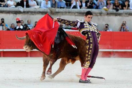 NIMES : OREILLE POUR THOMAS DUFAU _NIM9395