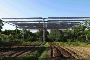 Le gouvernement nippon veut permettre aux agriculteurs de produire de l'électricité solaire sur de la terre agricole.