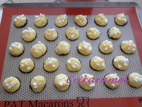 Chouquettes.....toutes bêtes ! IMG_4452