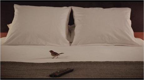 bird people - 5 bird people - 5