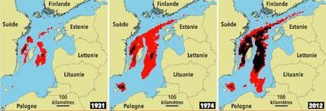 La mer Baltique étouffe de plus en plus