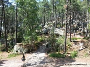 Running a deux en Foret de FONTAINEBLEAU 20140608_152413