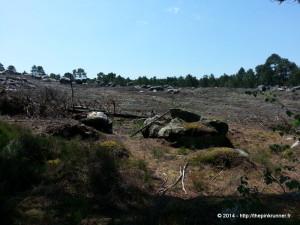 Running a deux en Foret de FONTAINEBLEAU 20140608_123040