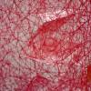 Chiharu Shiota | Small Room ChiharuShiota-SmallRoom-09
