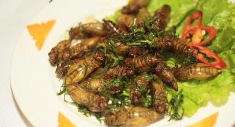 insectes-comestibles-eat-manger-plats-mogwaii (27)