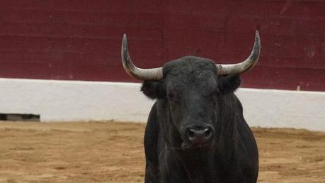 VIC : DOLORES AGUIRRE SEME LA PEUR, LAMELAS HEROÏQUE DSC03264