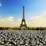1600 Panda World – Paulo Grangeon 1600 Panda 01