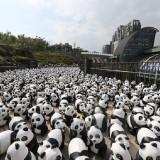 1600 Panda World – Paulo Grangeon 1600 Panda 06