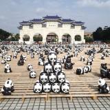 1600 Panda World – Paulo Grangeon 1600 Panda 07