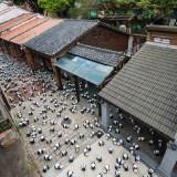 1600 Panda World – Paulo Grangeon 1600 Panda 09
