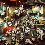 1600 Panda World – Paulo Grangeon 1600 Panda 03