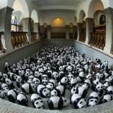1600 Panda World – Paulo Grangeon 1600 Panda 10