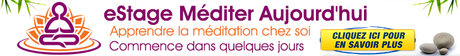La Respiration Abdominale Méditer Aujourd'hui Stage