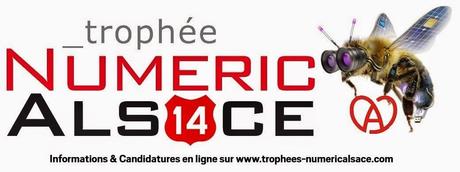 Trophée Numeric Alsace 2014 : Valoriser les usages numériques professionnels ! Trophée Numeric Alsace 2014 : Valoriser les usages numériques professionnels !