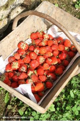 Soupe glacée de fraise simplissime et sublimissime ! panier fraise mention