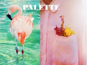La Leçon de Décoration du Gémeaux ! Un Pastel Show fluo 2