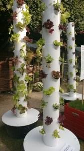 JARDINS, JARDINS METAMORPHOSE LES TUILERIES Created with Nokia Smart Cam