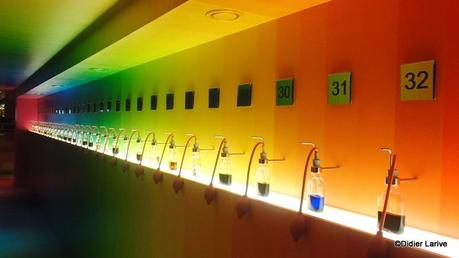 AMSTERDAM Insolite ! A consommer avec modération !