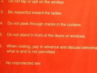 AMSTERDAM Insolite ! AMSTERDAM Insolite !