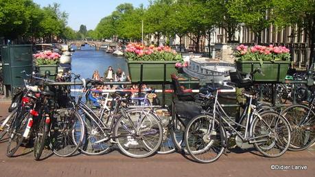 AMSTERDAM Insolite ! AMSTERDAM Insolite !