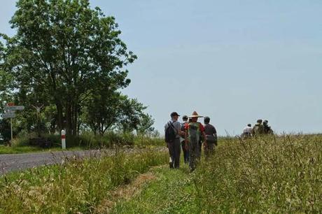 Dans la savane avec le Conservatoire Dans la savane avec le Conservatoire