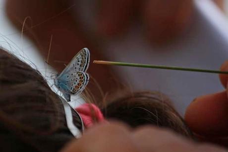Dans la savane avec le Conservatoire Dans la savane avec le Conservatoire
