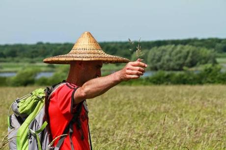 Dans la savane avec le Conservatoire Dans la savane avec le Conservatoire