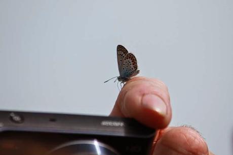 Dans la savane avec le Conservatoire Dans la savane avec le Conservatoire