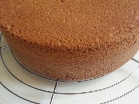 Fôret Noire Fôret Noire