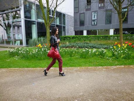 Kashmir pants Kashmir pants