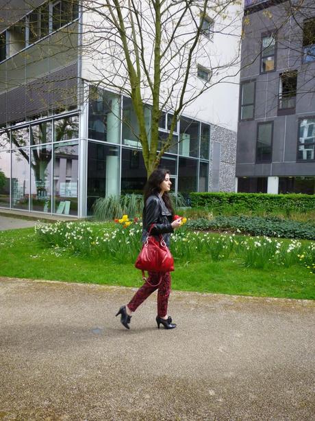 Kashmir pants Kashmir pants