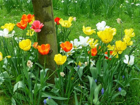 Kashmir pants Kashmir pants