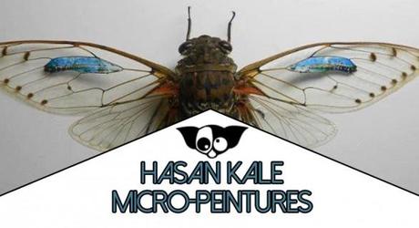 Hasan Kale : Micro Peintures