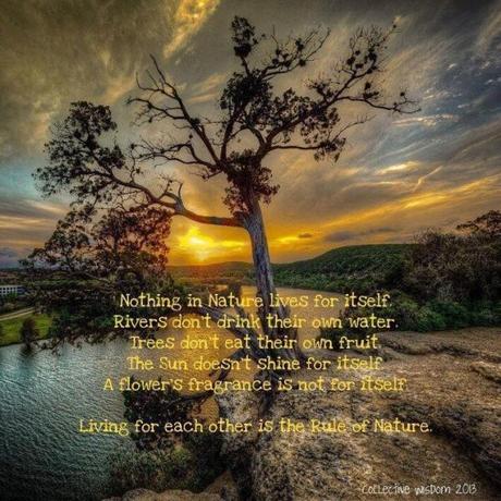 La règle de la Nature 10351914_523690344402625_2719000117416148277_n