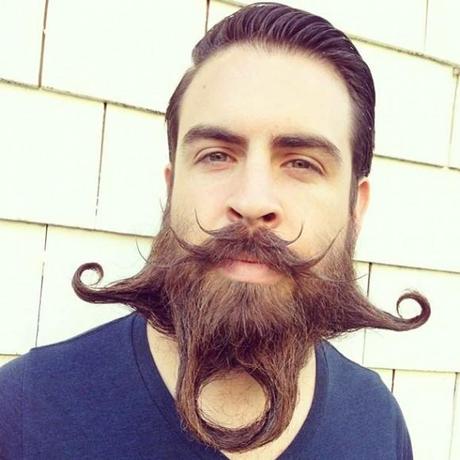 beard-barbe-moustache-poilus-mogwaii (22)