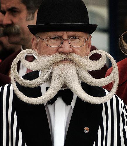 beard-barbe-moustache-poilus-mogwaii (1)