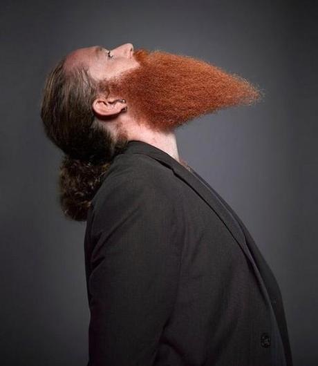 beard-barbe-moustache-poilus-mogwaii (16)
