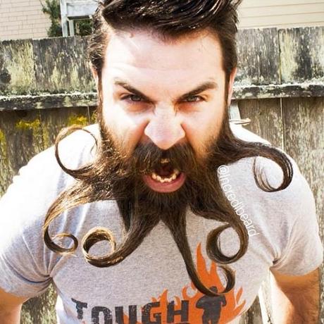 beard-barbe-moustache-poilus-mogwaii (30)