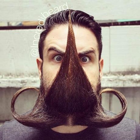 beard-barbe-moustache-poilus-mogwaii (31)