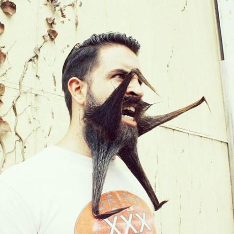 beard-barbe-moustache-poilus-mogwaii (33)