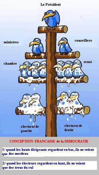 On n’est pas dans la m… pigeons