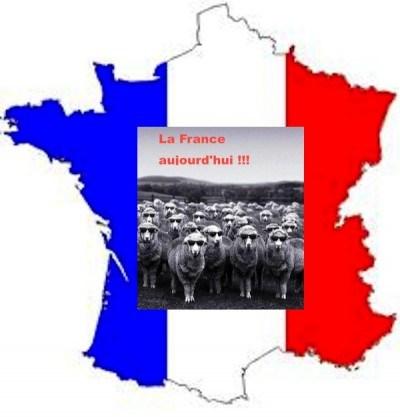 On n’est pas dans la m… carte france moutons